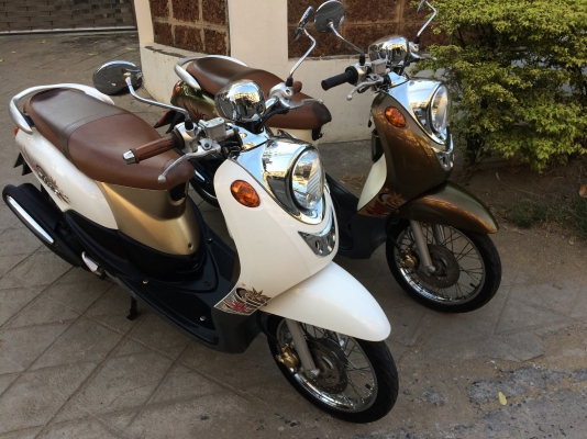 ฟีโน่คลาสิค ปี54 สวยๆ เลือกเอาคับว่าชอบคันไหน สวยทั้งคู่