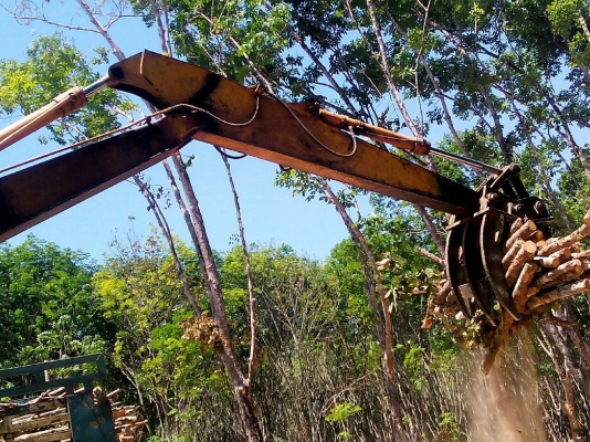 ขายรถแบคโฮ KOMATSU PC120-3 หัวคีปไม้กับบุ้งกี๋ ราคา 350000 ขายรถแบคโฮ KOMATSU PC120-3 หัวคีปไม้กับบุ้งกี๋ ราคา 350000