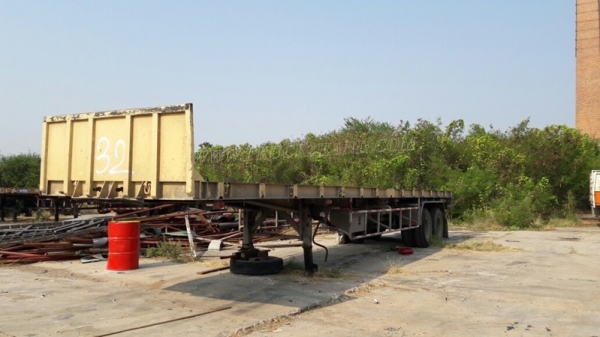 หางพื่นเรียบ  มีเล่มทะเบียน