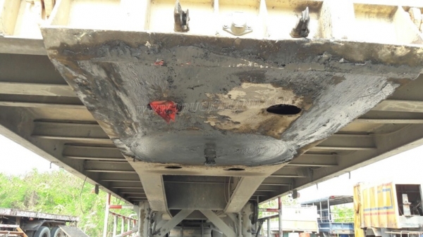 หางพื่นเรียบ  มีเล่มทะเบียน