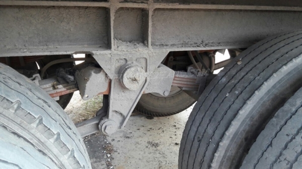 หางพื่นเรียบ  มีเล่มทะเบียน