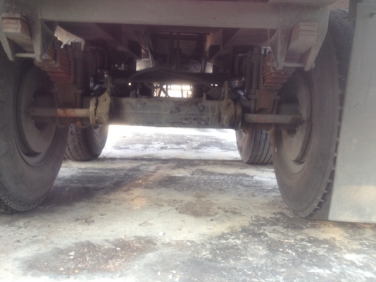 หางพื่นเรียบ  มีเล่มทะเบียน