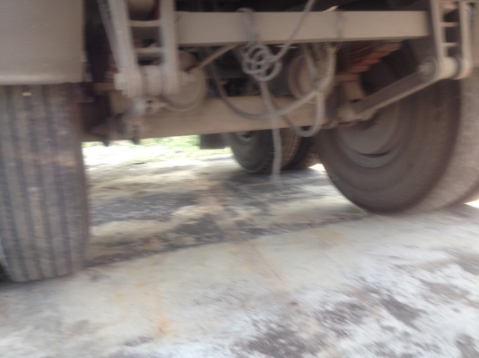 หางพื่นเรียบ  มีเล่มทะเบียน