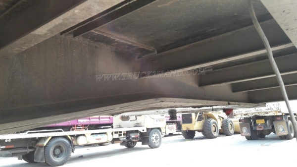 หางพื่นเรียบ  มีเล่มทะเบียน