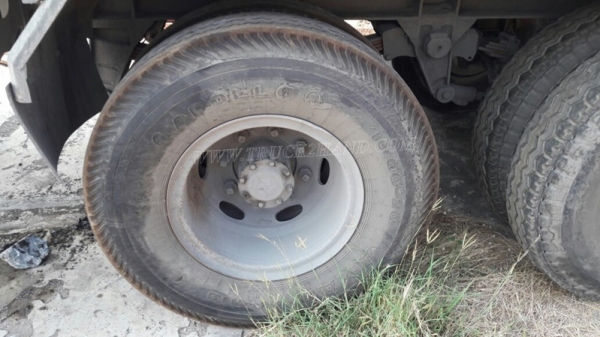 หางพื่นเรียบ  มีเล่มทะเบียน