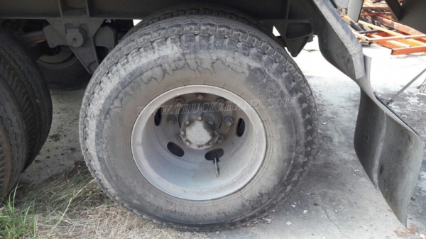 หางพื่นเรียบ  มีเล่มทะเบียน