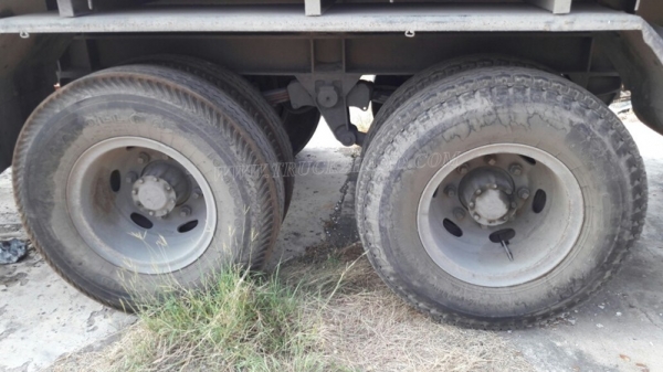 หางพื่นเรียบ  มีเล่มทะเบียน