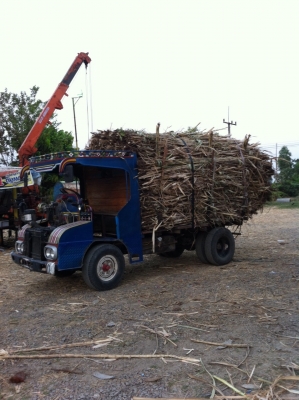 ขาย/นางแต๋นซิ่ง