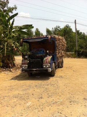 ขาย/นางแต๋นซิ่ง