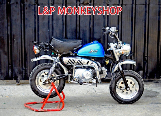 จัดโปรโมชั่น ลดราคาสุดแบบ มโหฬษร มังกี้ กอลิล่า เดิม ราคาสุดๆ เริ่มต้นเพียง 2XXXX  แต่งๆๆ ลดราคาทุกรุ่นและมีของแถมอีกมากมาย  ด่วนๆๆ ลดๆๆ   เริ่มต้นราคา ที