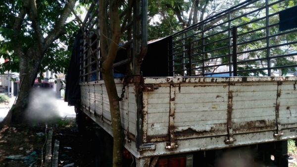 รถอีซูซุ 6 ล้อดั้ม NQR 175 แรงม้า. ปี 49.   สนใจติดต่อ  081 - 6079515