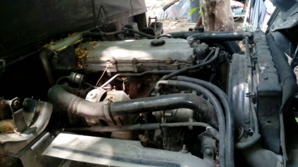 รถอีซูซุ 6 ล้อดั้ม NQR 175 แรงม้า. ปี 49.   สนใจติดต่อ  081 - 6079515