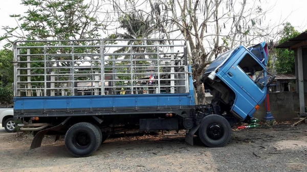 ขาย6ล้อวิ่งอ้อย วิ่งมัน อีซูซุNPR115 สั้งลุยปี38 NPR59LU5F-M แชชซีสวยเดิม เครื่องดี สภาพสวยพร้อมวิ่งงาน ขาย6ล้อวิ่งอ้อย วิ่งมัน อีซูซุNPR115 สั้งลุยปี38 NPR59LU5F-M แชชซีสวยเดิม เครื่องดี สภาพสวยพร้อมวิ่งงาน