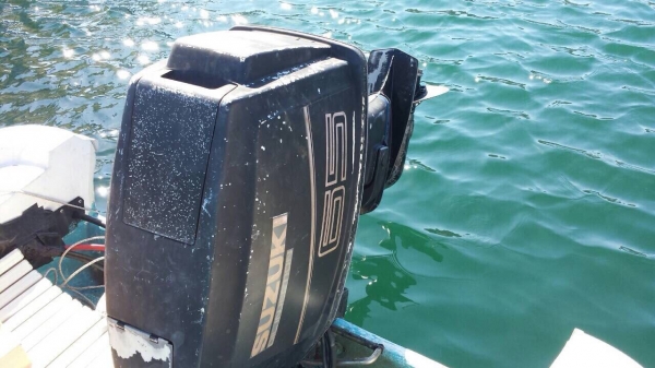 ขายเรือตกปลาU19bf ขายเรือตกปลาU19bf