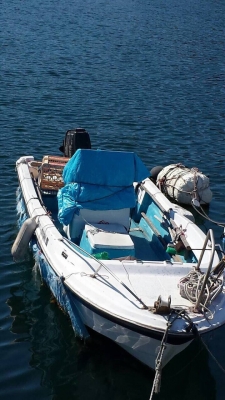 ขายเรือตกปลาU19bf