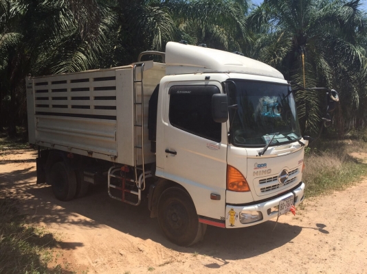 ขายรถ6ล้อดั้มพ์ HINO FC9JELA เครื่อง 175แรงม้า ปี55 วิ่ง 44006กิโล สนใจโทร 081-970-1072