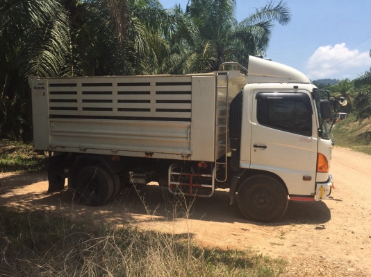 ขายรถ6ล้อดั้มพ์ HINO FC9JELA เครื่อง 175แรงม้า ปี55 วิ่ง 44006กิโล สนใจโทร 081-970-1072