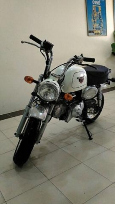 ขายกอลิล่าสีขาว 125cc