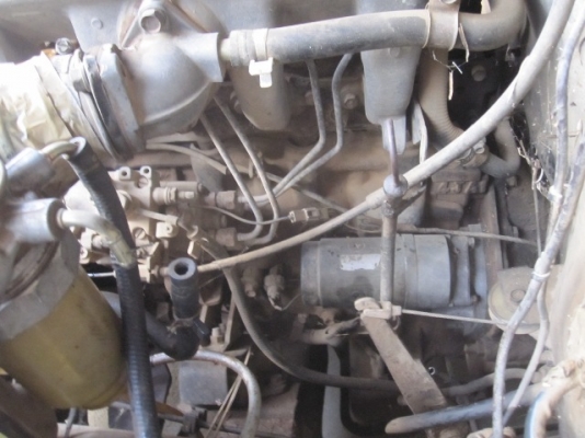 ขายมังกรตอนเดียวแปลงดาก้อน แยกชิ้นส่วน