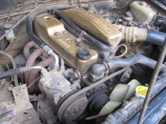 ขายมังกรตอนเดียวแปลงดาก้อน แยกชิ้นส่วน