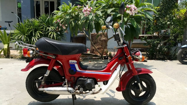 Honda chaly50cc