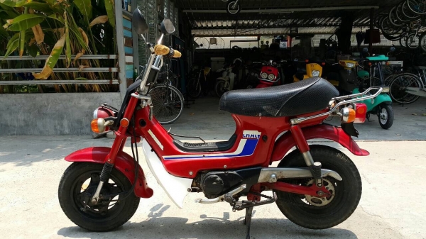 Honda chaly50cc