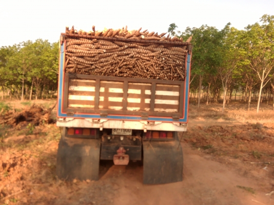 หลงโบ 527วางหัวตาหวาน เกียร์ โลไฮ 10 สปีด เดิมๆ หลงโบ 527วางหัวตาหวาน เกียร์ โลไฮ 10 สปีด เดิมๆ