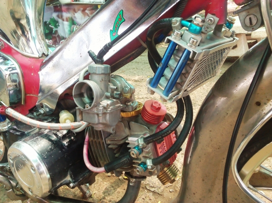 ขาย C65 เครื่องเวฟ100 ขาย C65 เครื่องเวฟ100