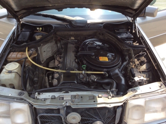 ขายรถเบนส์ W124 รุ่น 300E ปี93 เครื่องเดิมๆออโต้ ไม่เคยติดแก๊ส ตัวท็อป ไฟฟ้าทั้งคัน เบาะหนังแท้ปรับไฟฟ้า พวงมาลัยปรับไฟฟ้า ภายในสวยเดิมๆลายไม้ วิทยุCD ตัวถังเดิมๆไม่มีชน แม็กใหม่ brabas b6 ขอบ 17" ยางใหม่ รถเดิมๆครับ ขับดีมากๆพร้อมใช้ครับ