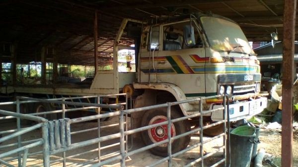 เจจัมโบ้ สองเพลาหางขึ้นรถเกี่ยว เครื่องฮีโน่HO6C-TURBO-208แรงอินเตอร์ ทิฟฟี่ พพาวเวอ สภาพพร้อมลุย เจจัมโบ้ สองเพลาหางขึ้นรถเกี่ยว เครื่องฮีโน่HO6C-TURBO-208แรงอินเตอร์ ทิฟฟี่ พพาวเวอ สภาพพร้อมลุย