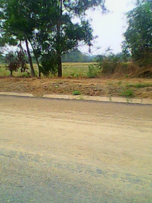 ขายที่ 13 ไร่ ไร่ละ 550000 บาท โทร0906208746