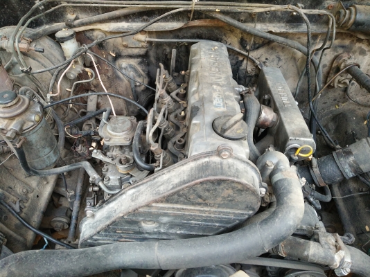 ขายนิสสันบิ๊กเอ็ม วางเครื่องld20 เทอร์โบดีเซล