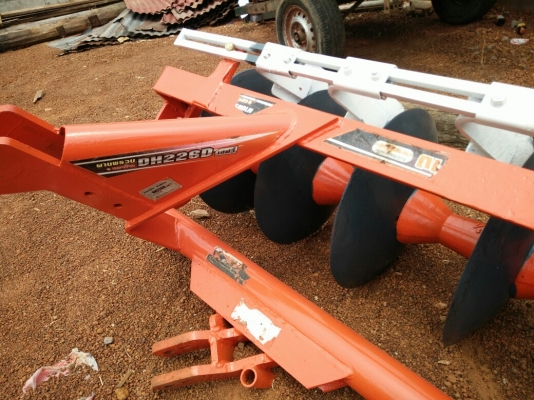 ผานผรวนสวยใบเต็ม ผานผรวนสวยใบเต็ม