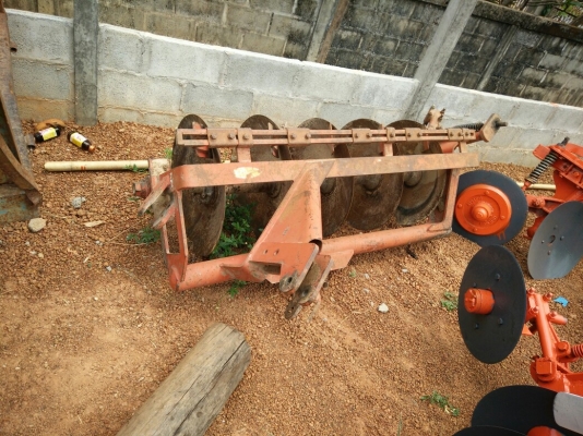 ผานผรวนสวยใบเต็ม ผานผรวนสวยใบเต็ม