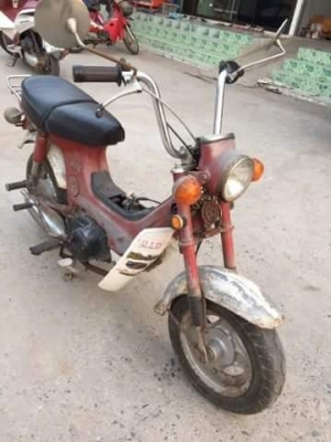 ขายชาลีไฟบนแท้เดิมครับ  สวยแห้งๆ ดูก่อนครับ