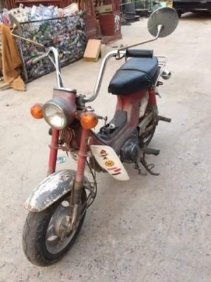 ขายชาลีไฟบนแท้เดิมครับ  สวยแห้งๆ ดูก่อนครับ