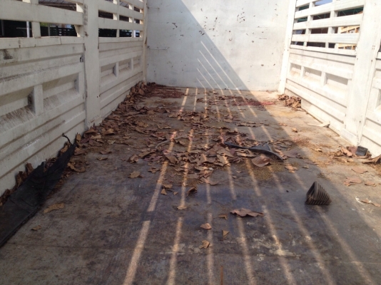 ขายหางสามเพลา. สหกิจ ไม่ดั้ม ปี 45