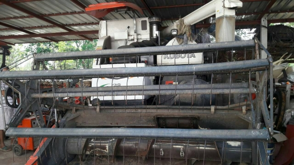 ขายด่วนรถเกี่ยวข้าว คูโบต้า DC 95 PLUS  รุ่นปี 56  ราคา 570,000 ราคานี่ปิดงวดสุดท้ายเรียบร้อย  1,0xx  ชั่วโมง