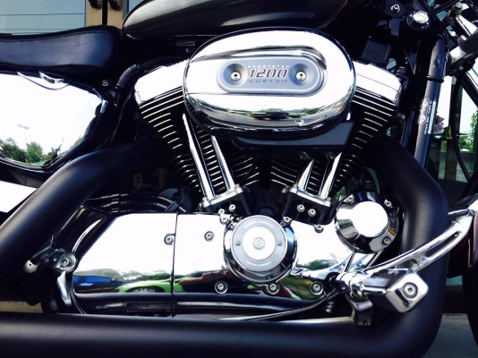 Harley Sportster xl1200c ปี 2005 สเปคเมกา ทะเบียนแท้ตอง444 Harley Sportster xl1200c ปี 2005 สเปคเมกา ทะเบียนแท้ตอง444