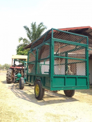 ขายเครื่องช็อปหญ้า 2ตอน พร้อมใช้ ใช้งานง่ายประหยัดเวลา เกี่ยวบดสับหญ้า