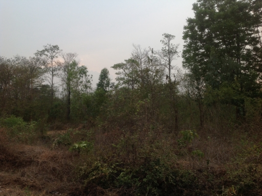 ขายที่ดิน