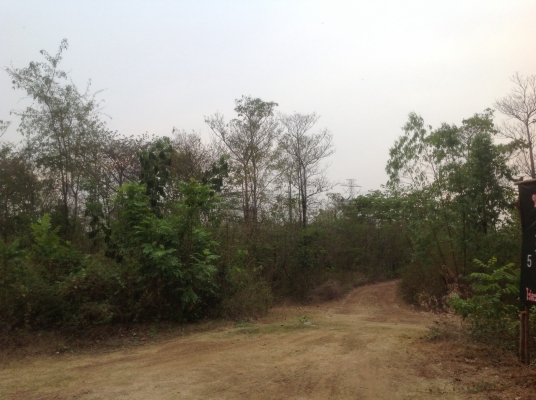 ขายที่ดิน