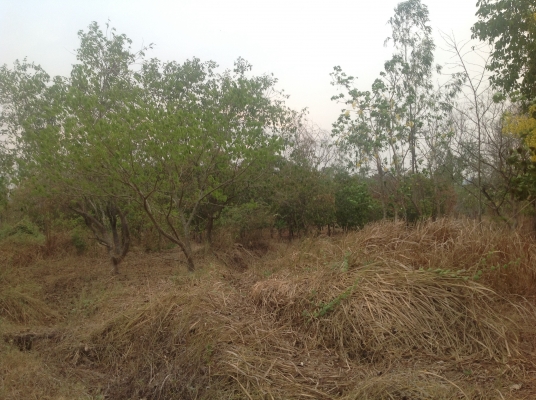 ที่ดินทำเลงาม