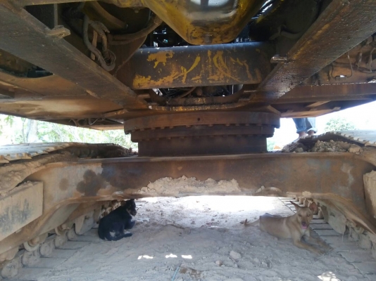 ขายรถแบคโฮ KOBELCO SK220-/// เอกสารเล่มทะเบียน ราคา 600000 ขายรถแบคโฮ KOBELCO SK220-/// เอกสารเล่มทะเบียน ราคา 600000