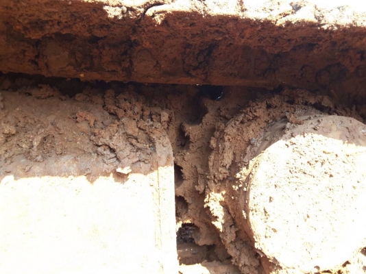 ขาย!! >>> Kobelco Sk200 Mark8 Yn11 <<< รถสวยพร้อมใช้งาน ราคา 1,890,000 บาท ต่อรองนิดหน่อย ขาย!! >>> Kobelco Sk200 Mark8 Yn11 <<< รถสวยพร้อมใช้งาน ราคา 1,890,000 บาท ต่อรองนิดหน่อย