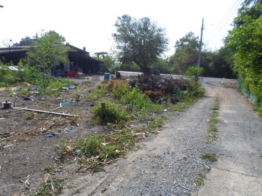 (ให้เช่า) ทำธุรกิจ ติดถนนใหญ่ (หนองจอก กทม.) (ให้เช่า) ทำธุรกิจ ติดถนนใหญ่ (หนองจอก กทม.)