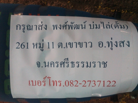 ขายดรีมคุรุสภา อะไหล่เดิมเพิ่มเติมนิสหน่อย มีเล่มทะเบียน+ชุดโอน ภาษีหมด 27 เม.ย 60