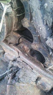 ขาย komatsu pc60-6 สภาพเยี่ยม เครื่องแน่น ขาย komatsu pc60-6 สภาพเยี่ยม เครื่องแน่น