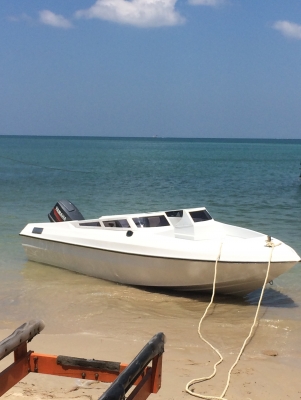 ขายเรือเร็ว 17 ฟุต