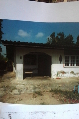 ที่ดิน พร้อมบ้าน 2 งาน 33 ตารางวา